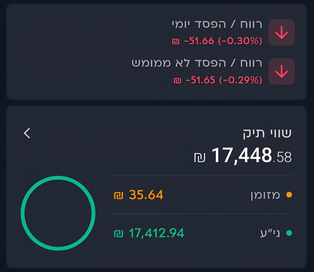תיק השקעות של בוגר 3