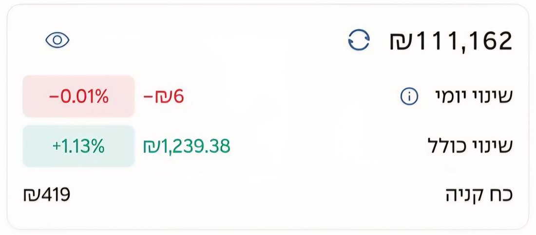 תיק השקעות של בוגר 8
